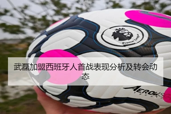 武磊加盟西班牙人首战表现分析及转会动态